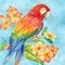 Tropical Paradise Brights I Poster Print by Cynthia Coulter - Item # VARPDXRB11993CC